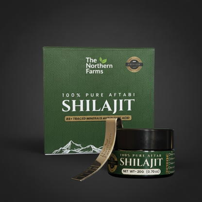 20g Aftabi Himalayan Shilajit Resin | Pure Salajeet