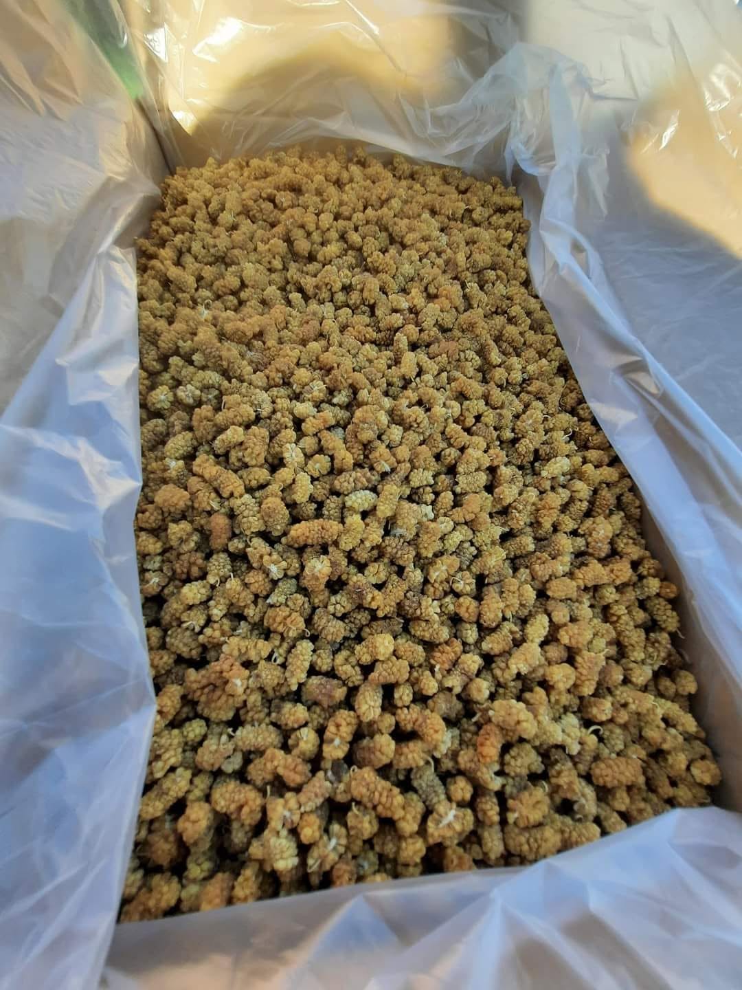 Sun-Dried Mulberry- 1KG - White