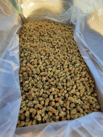 Sun-Dried Mulberry- 1KG - White