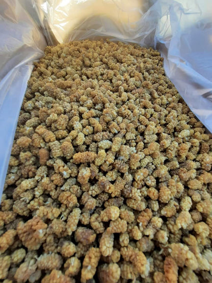 Sun-Dried Mulberry- 1KG - White