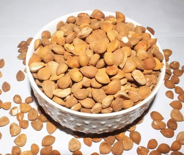 Sweet Apricot Kernels (Chitrali Khubani Giri)