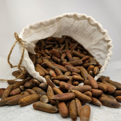 Premium Roasted Chitrali Chilghoza (Pine Nuts) – Fresh Harvest