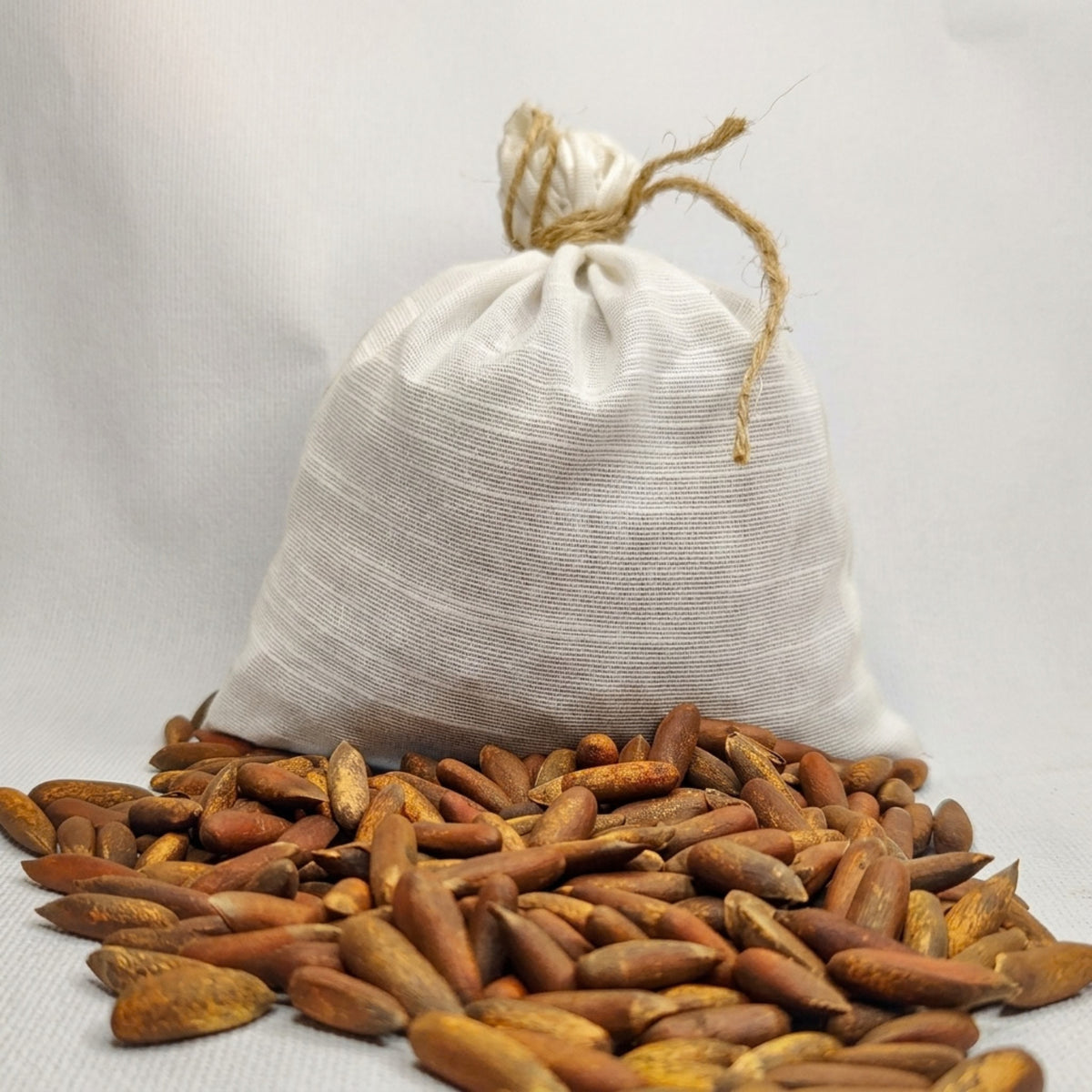 Premium Roasted Chitrali Chilghoza (Pine Nuts) – Fresh Harvest