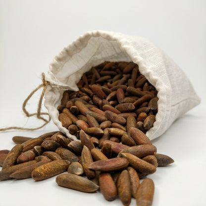 Premium Roasted Chitrali Chilghoza (Pine Nuts) – Fresh Harvest