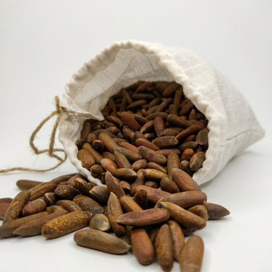 Premium Roasted Chitrali Chilghoza (Pine Nuts) – Fresh Harvest
