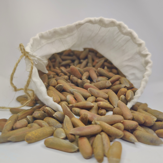 White bag filled with chilghoza on a white background
