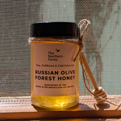A jar of Russian Olive Forest Honey by The Northern Farms sits on a wooden surface in front of a window screen. A wooden honey dipper is tied to the jar with twine.