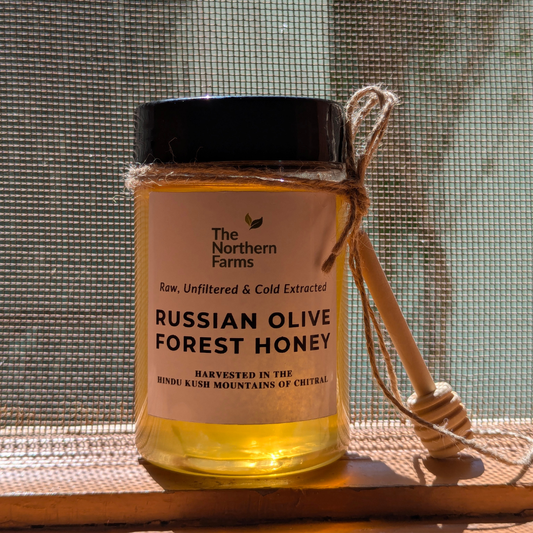 A jar of Russian Olive Forest Honey by The Northern Farms sits on a wooden surface in front of a window screen. A wooden honey dipper is tied to the jar with twine.