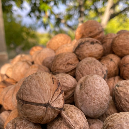 Famous Chitrali walnut natural and fresh
