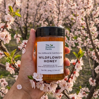 A hand holds a jar of Wildflower Honey from The Northern Farms against a background of blooming pink apricots blossom trees.