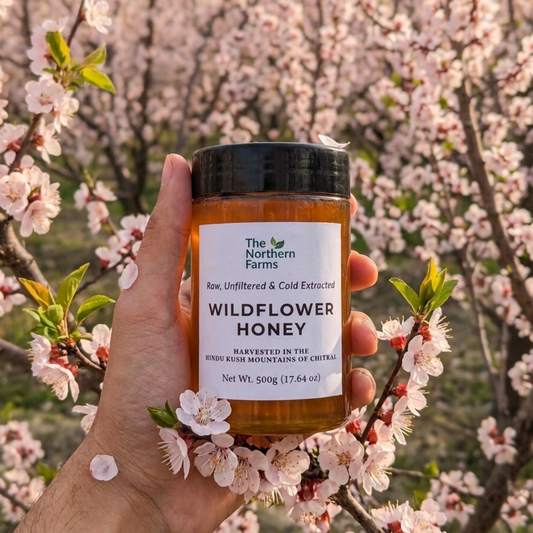 A hand holds a jar of Wildflower Honey from The Northern Farms against a background of blooming pink apricots blossom trees.