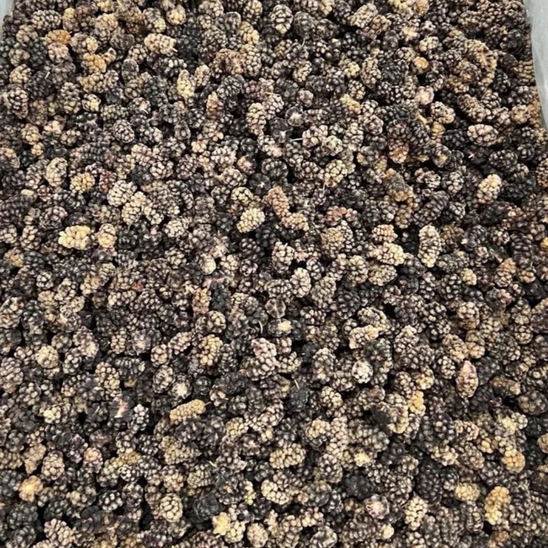 A close-up view of many small dried mulberries or fruit clusters filling the frame.