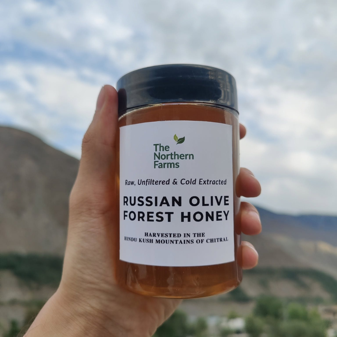 A hand holds a jar of Russian Olive Forest Honey from The Northern Farms against a blurred mountain and cloudy sky background. The jar has a black lid and a white label with green and black text.