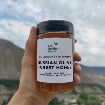 A hand holds a jar of Russian Olive Forest Honey from The Northern Farms against a blurred mountain and cloudy sky background. The jar has a black lid and a white label with green and black text.