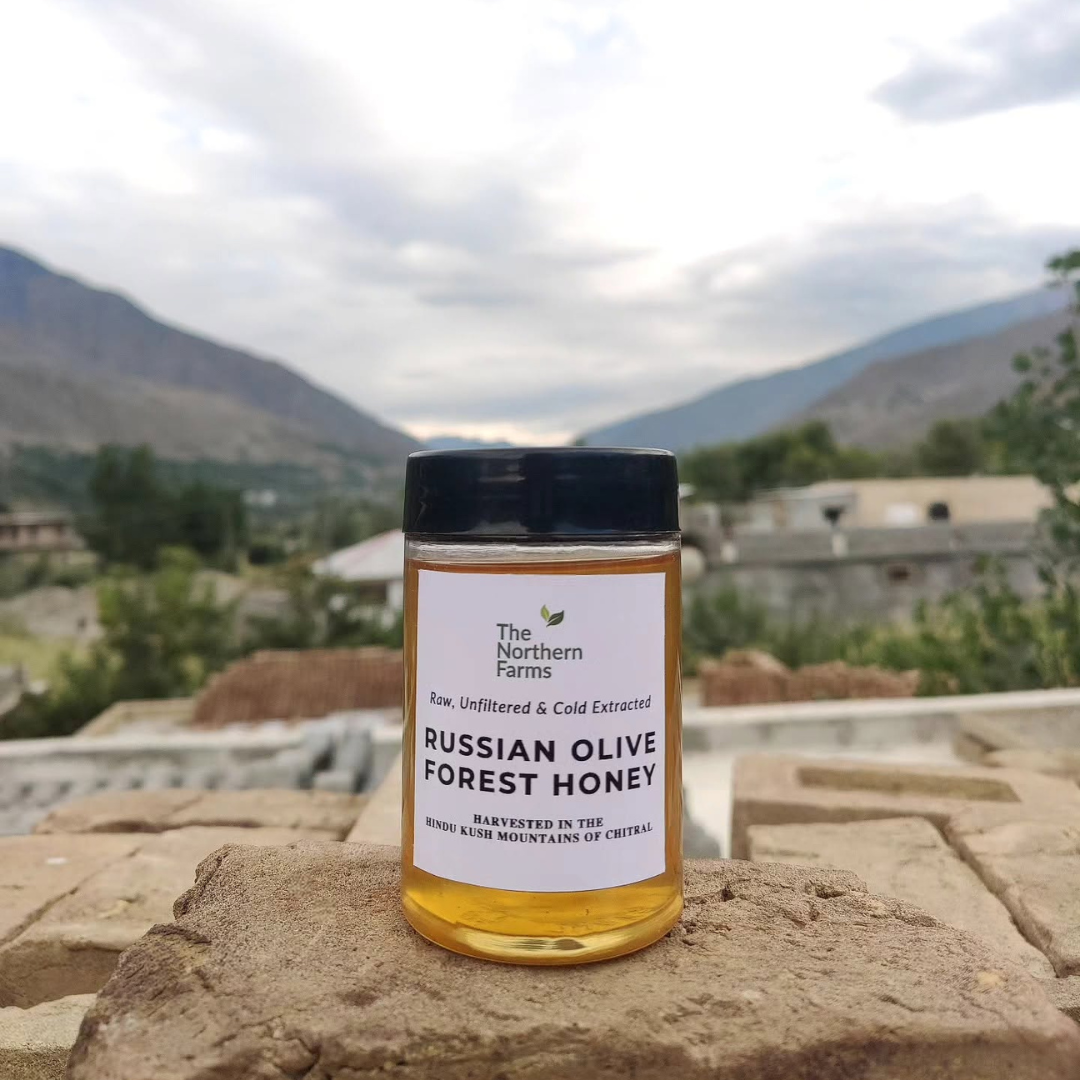A jar of Russian Olive Forest Honey by The Northern Farms sits on a stone surface with a blurred mountain village background somewhere in Chitral