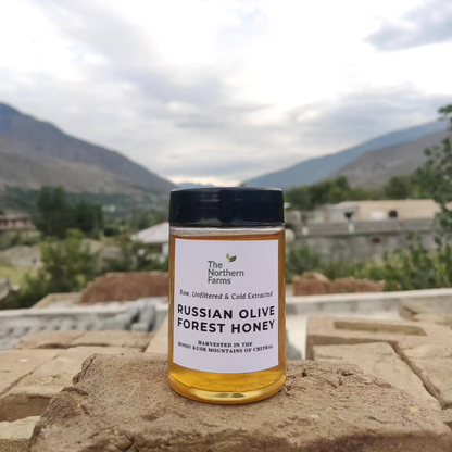 A jar of Russian Olive Forest Honey by The Northern Farms sits on a stone surface with a blurred mountain village background somewhere in Chitral