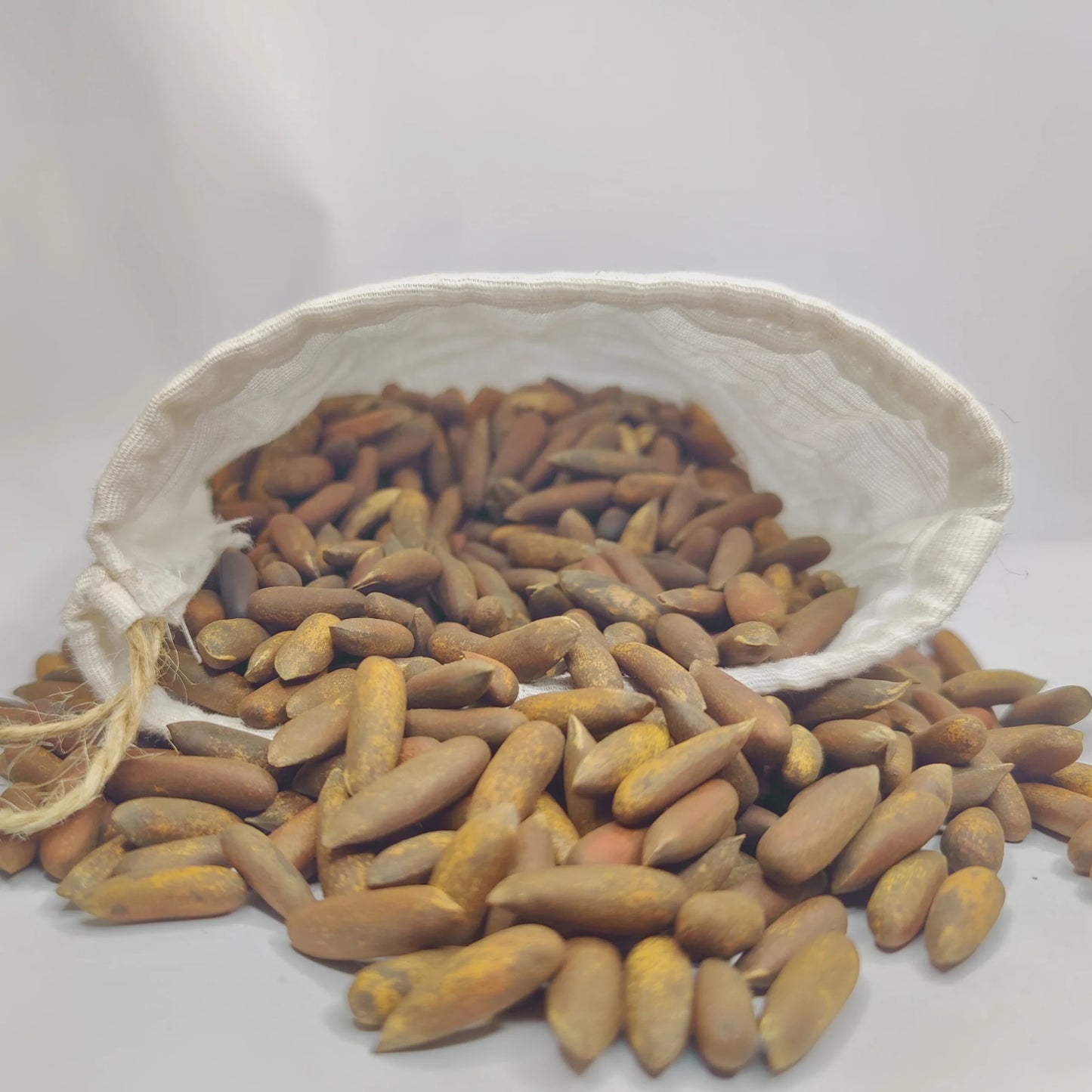Premium roasted pine nuts – crunchy and nutty snack
