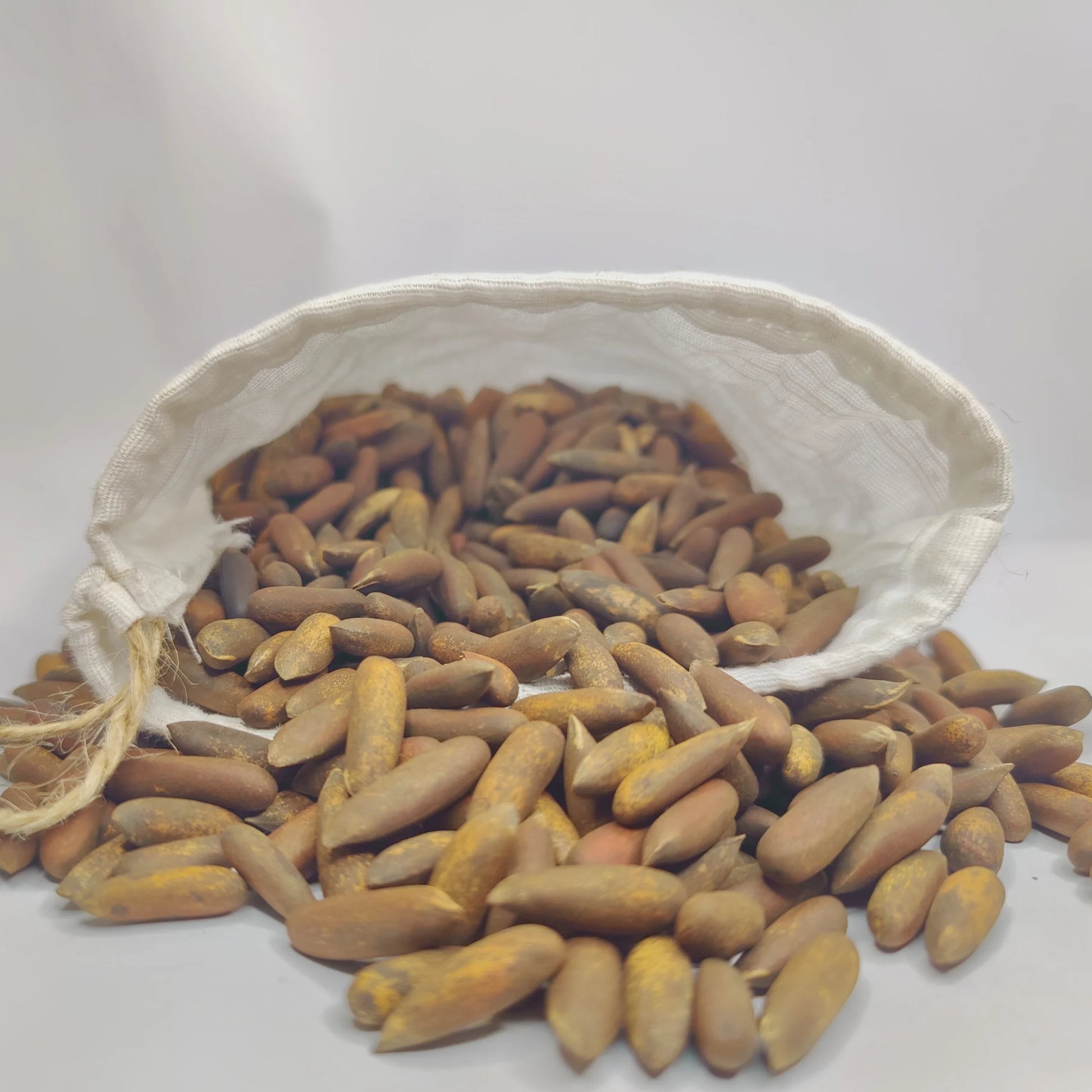 Premium roasted pine nuts – crunchy and nutty snack