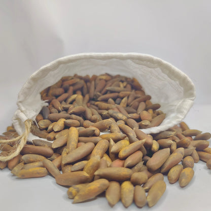 Premium roasted pine nuts – crunchy and nutty snack