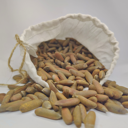 Raw & Unroasted Pine Nuts (Chilghoza) – 2025 Fresh Harvest | Premium Quality from Chitral