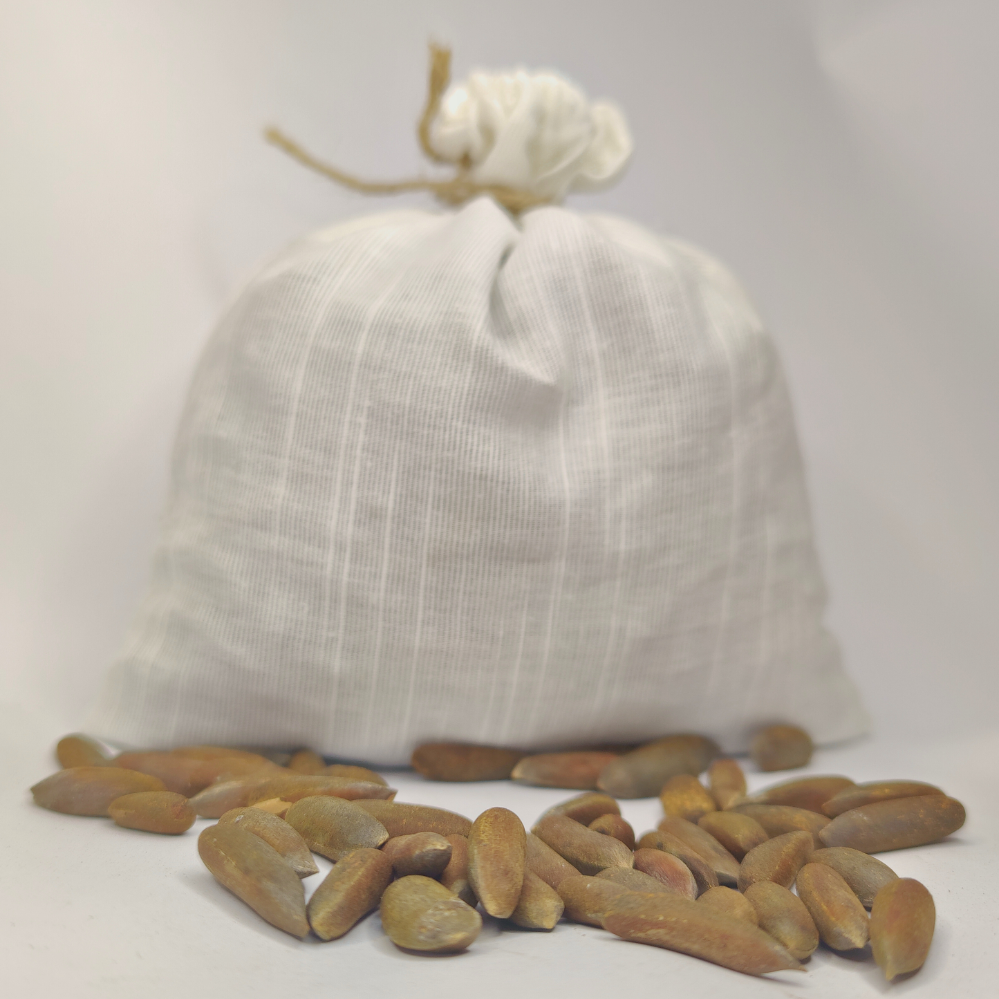 Raw & Unroasted Pine Nuts (Chilghoza) – 2025 Fresh Harvest | Premium Quality from Chitral