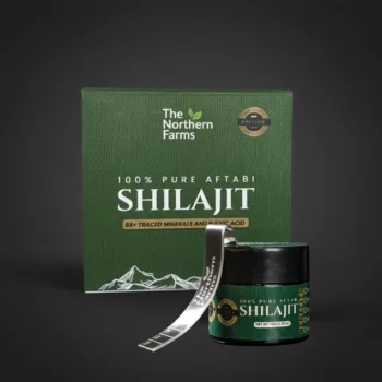 Shilajit Resin - 10g